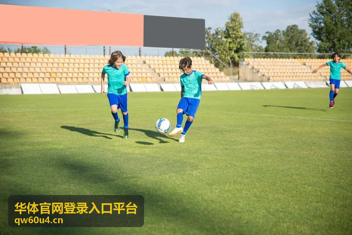 华体官网登录入口平台备用线路入口示意