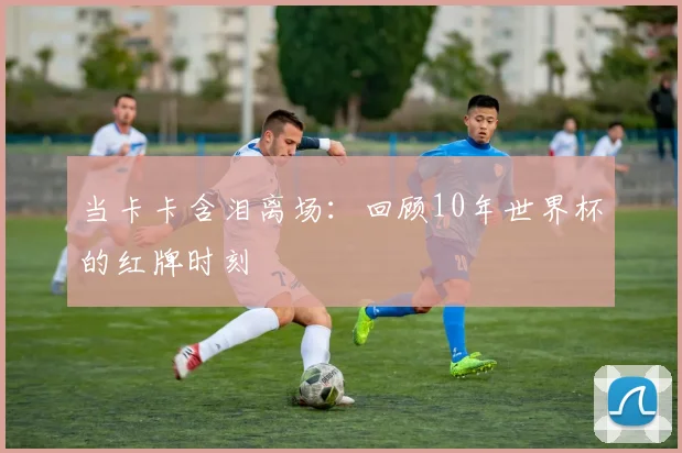 当卡卡含泪离场:回顾10年世界杯的红牌时刻