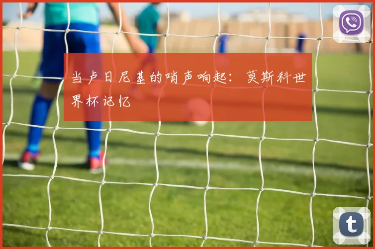 当卢日尼基的哨声响起:莫斯科世界杯记忆